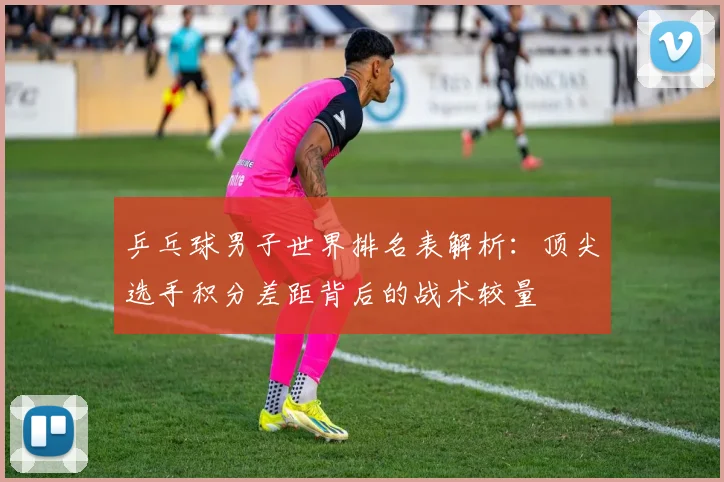 乒乓球男子世界排名表解析：顶尖选手积分差距背后的战术较量